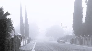 Home in the mist